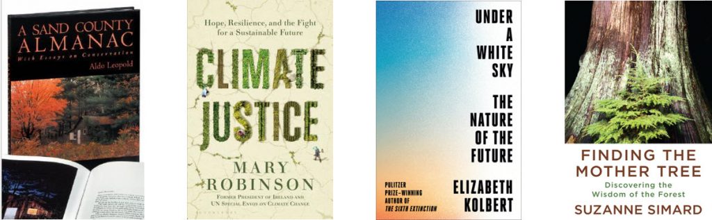 Sustainability book Covers