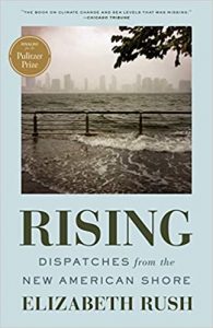 Rising book cover_