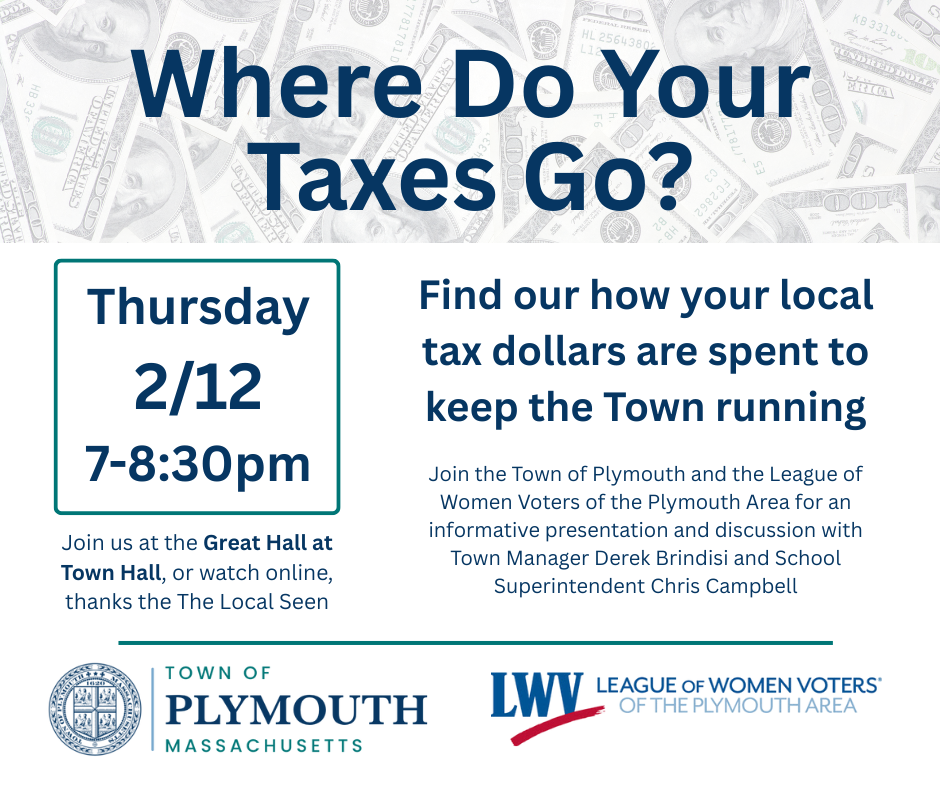 flyer 2026 where do my taxes go image